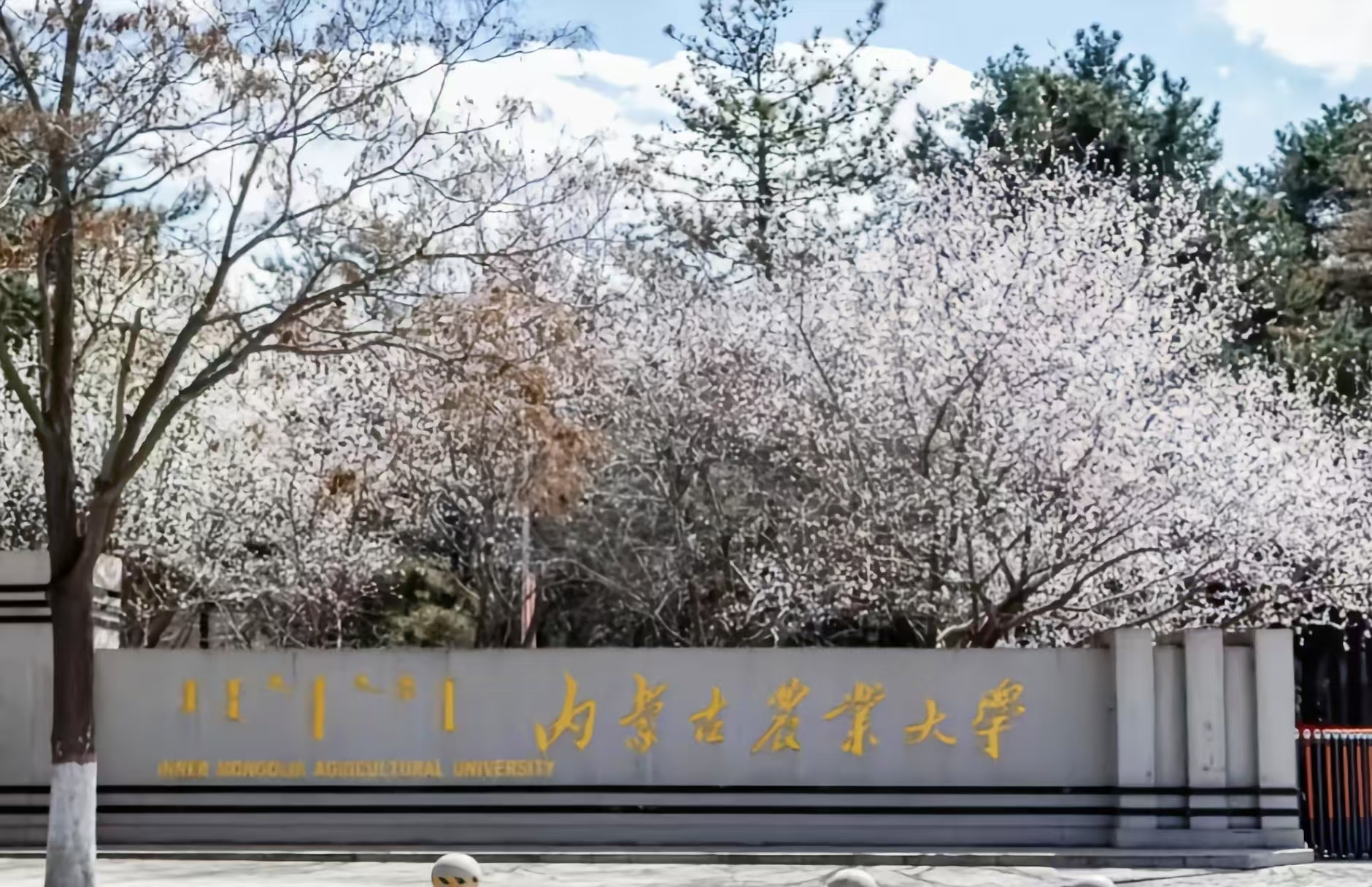 内蒙古农业大学
